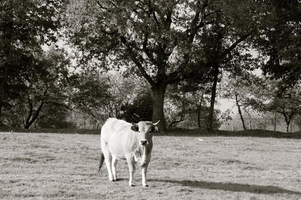 Petit Gite A La Ferme Villa Rosnay  Exterior photo